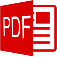 PDF File